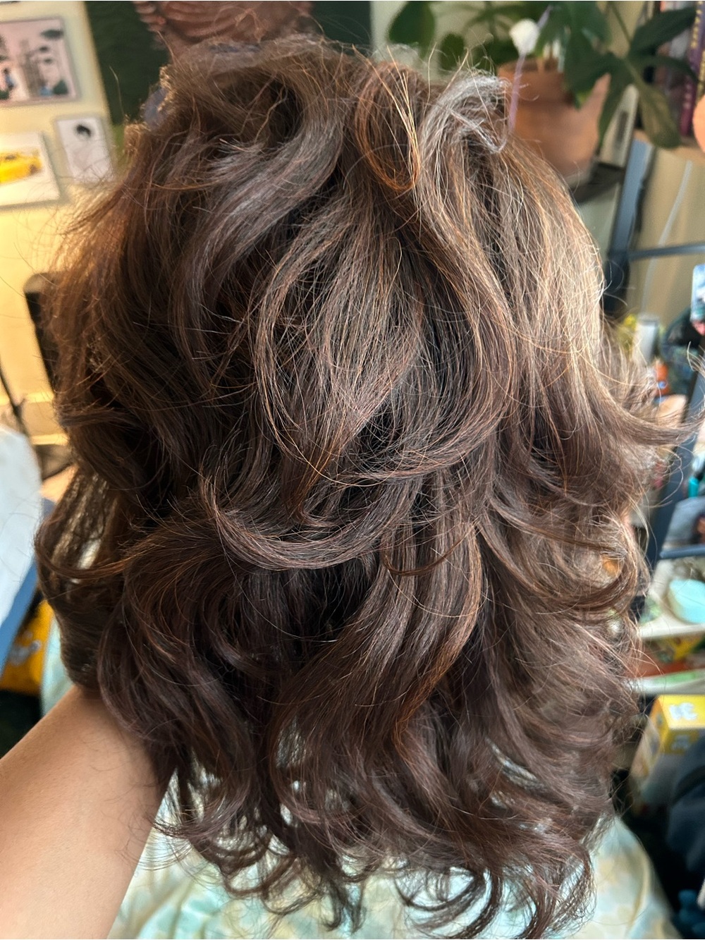 Long Wavy Brown Human Hair Wig - Rich Chocolate Tone - Picture 4 of 7